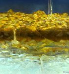 Autumn go Gentle into the Frost