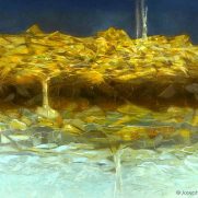 Autumn go Gentle into the Frost