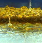 Autumn go Gentle into the Frost