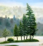 Group of Pines