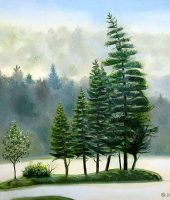 Group of Pines