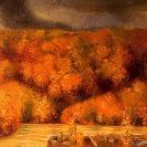October in Forest