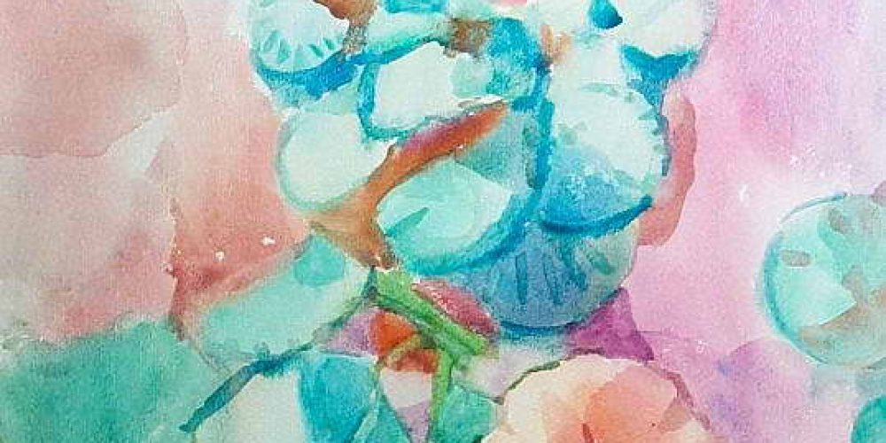 Geranium