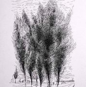Group of Trees