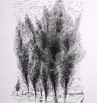 Group of Trees