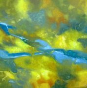 River in Woodland