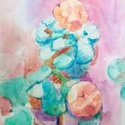 Geranium
