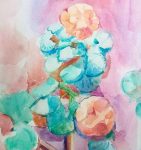 Geranium
