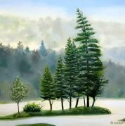 Group of Pines