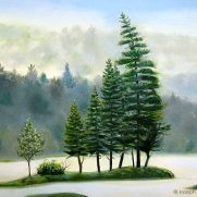 Group of Pines