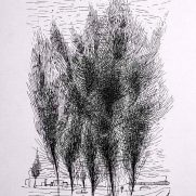 Group of Trees