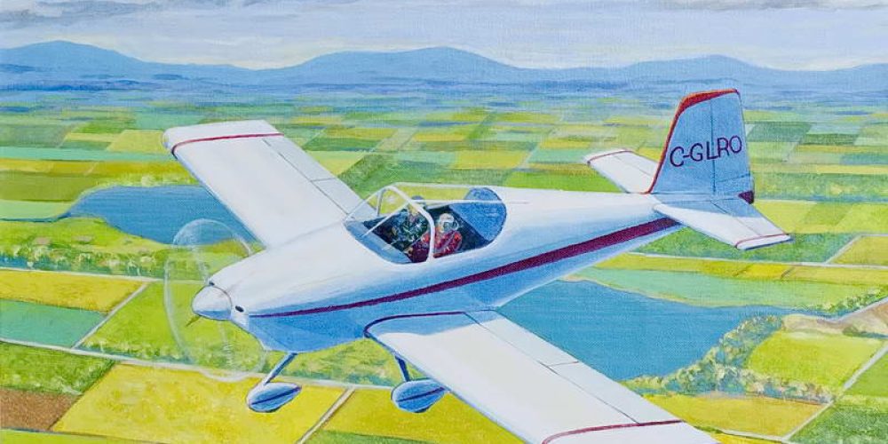 Leo’s Airplane