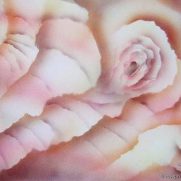 Peony Impression