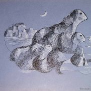 Sea Lions